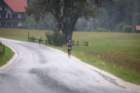 a3049_small.jpg